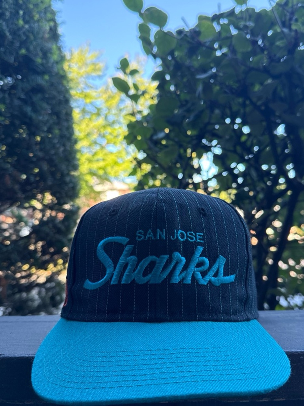 San Jose Sharks Black & Teal Snapback Hat